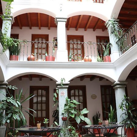 Hotel Casa De La Tia Tere Oaxaca Dış mekan fotoğraf